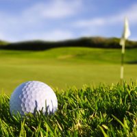 A golf ball sits on the green. A flag pole is in the distance.