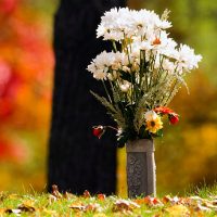 Flowers in a stone vase set in grass with orange and green leaves behind it.