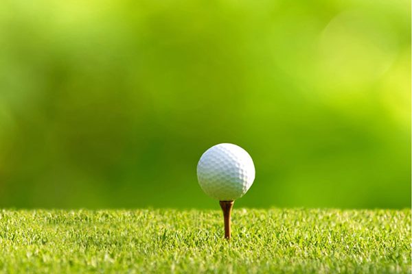 A golf ball on a tee.